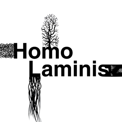 Homo Laminis
