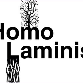 Homo Laminis