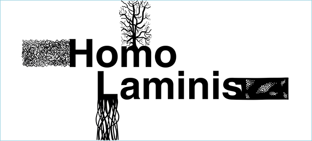 Homo Laminis